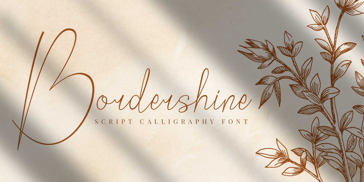 Image of Bordershine Script Script Font
