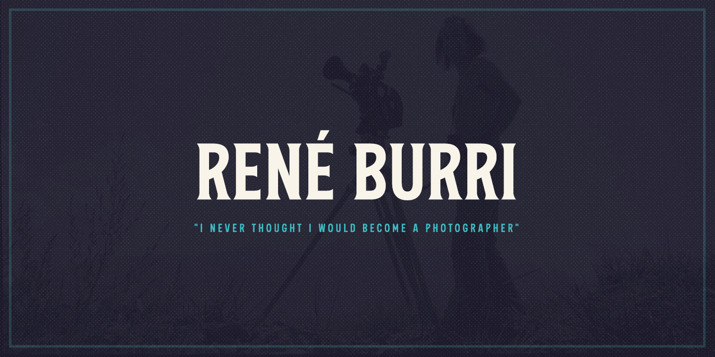 The Bystander Collection