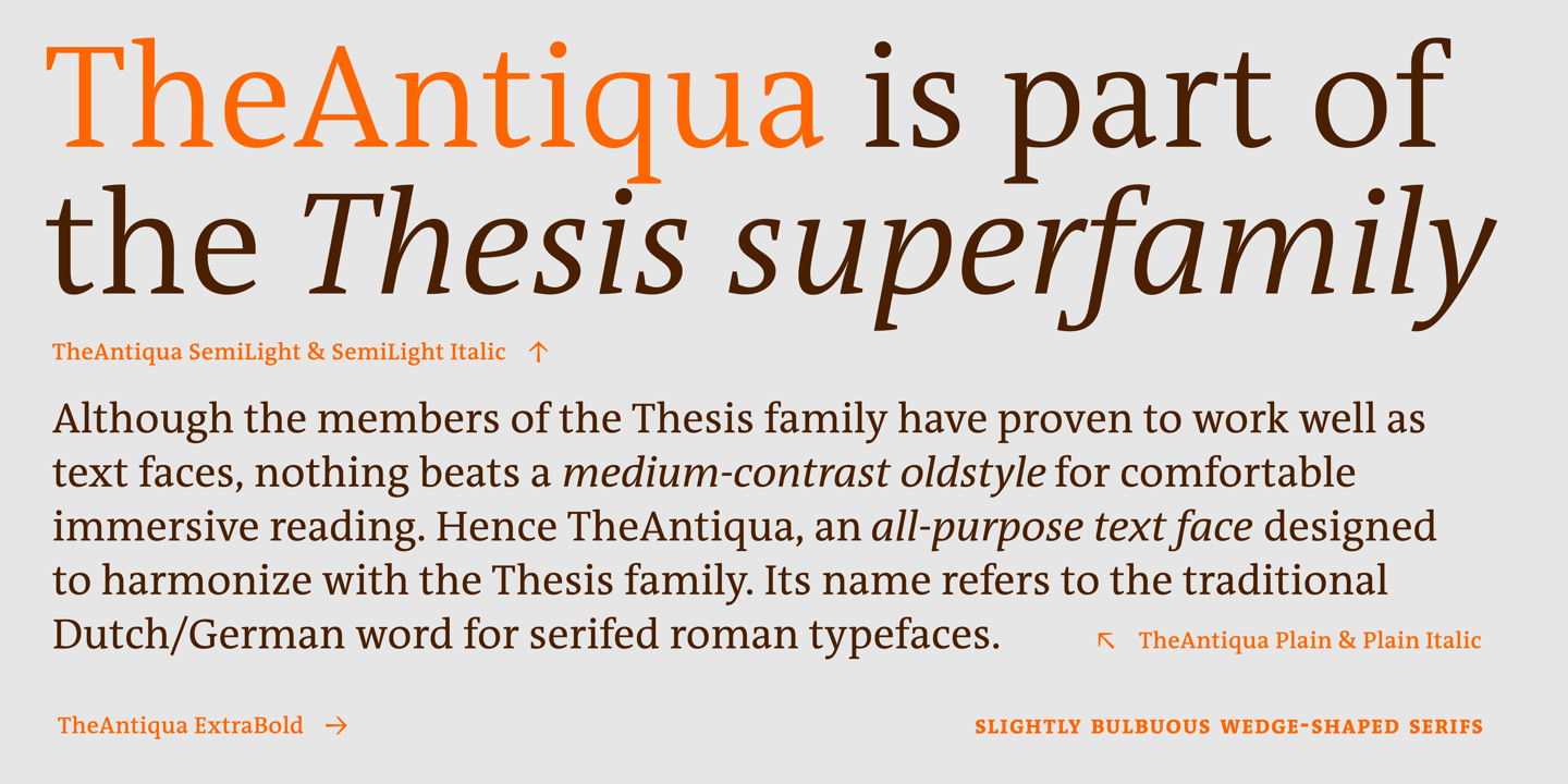 TheAntiqua