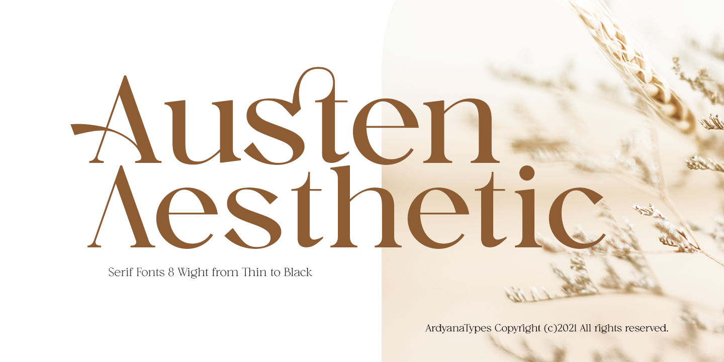 Image of Austen Aesthetic Font
