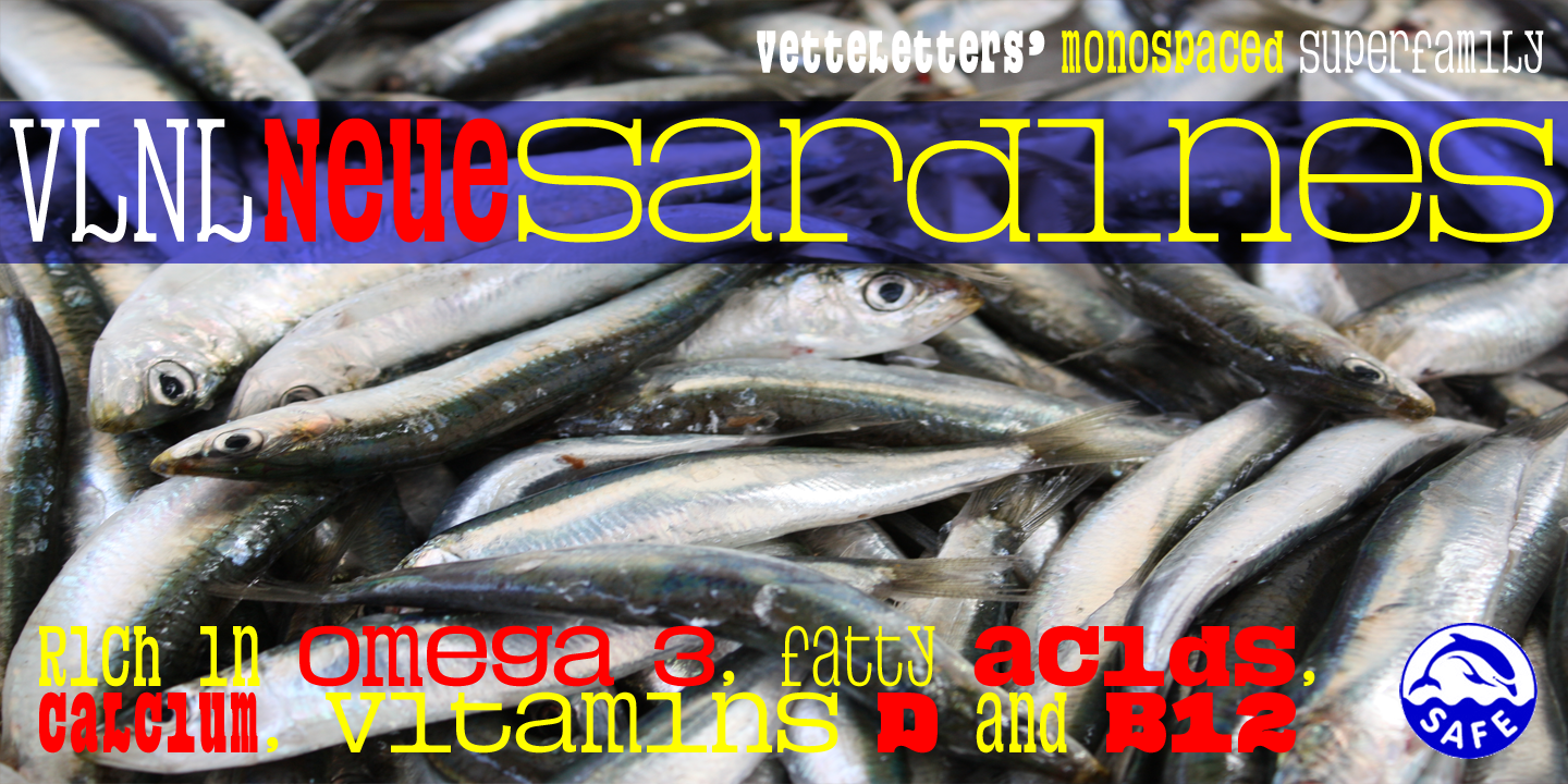 VLNL Neue Sardines