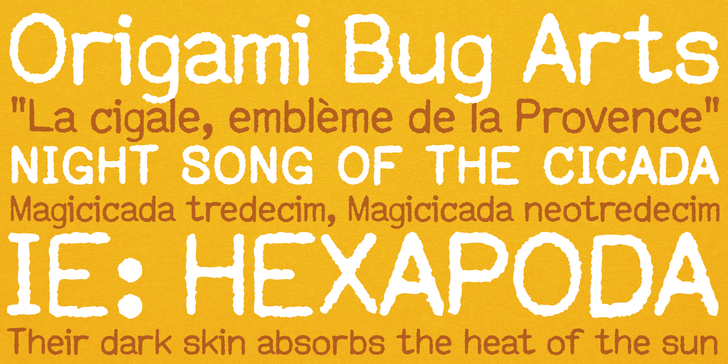 Customs Paperwork Pro AOE