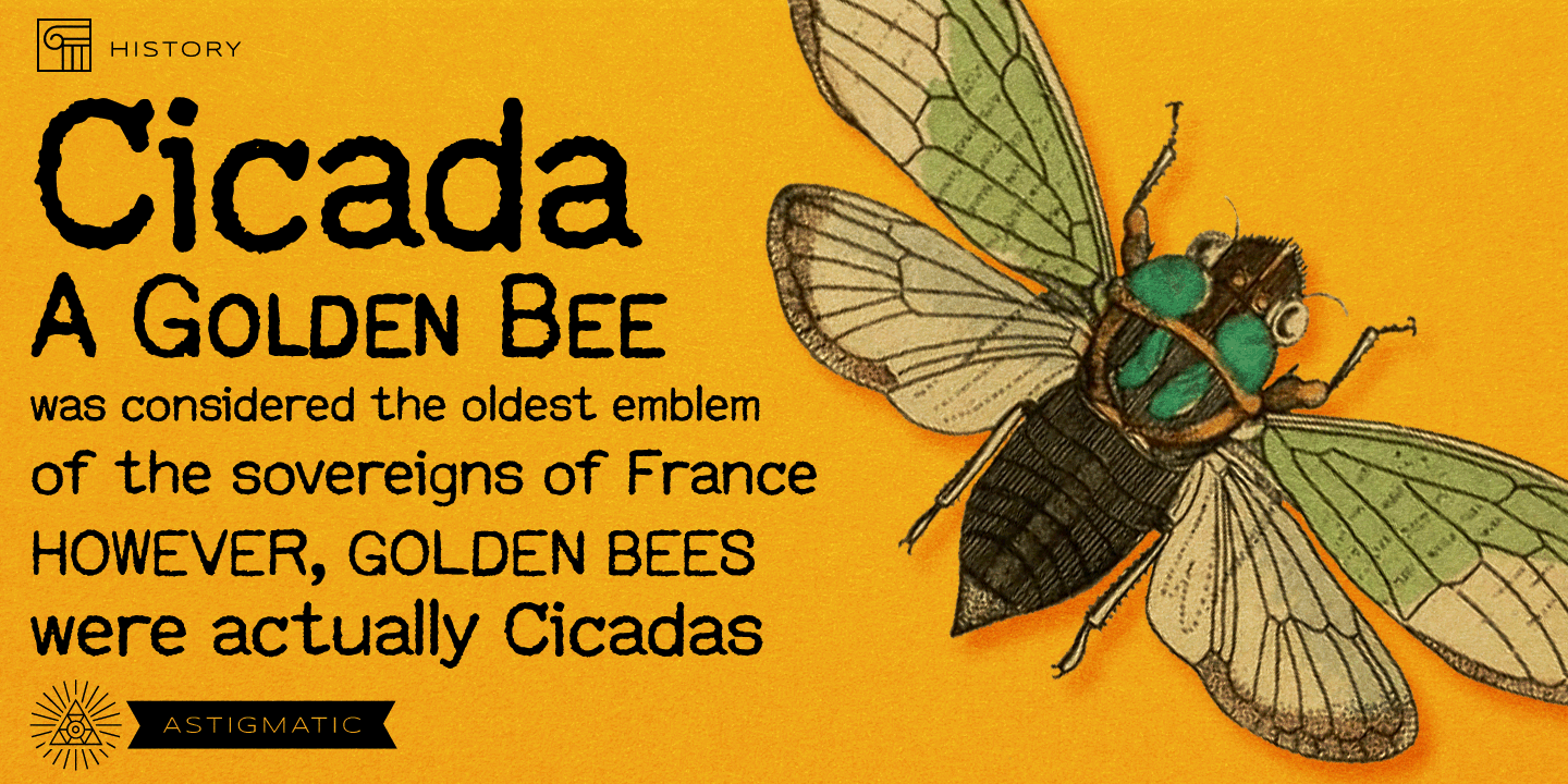 Customs Paperwork Pro AOE