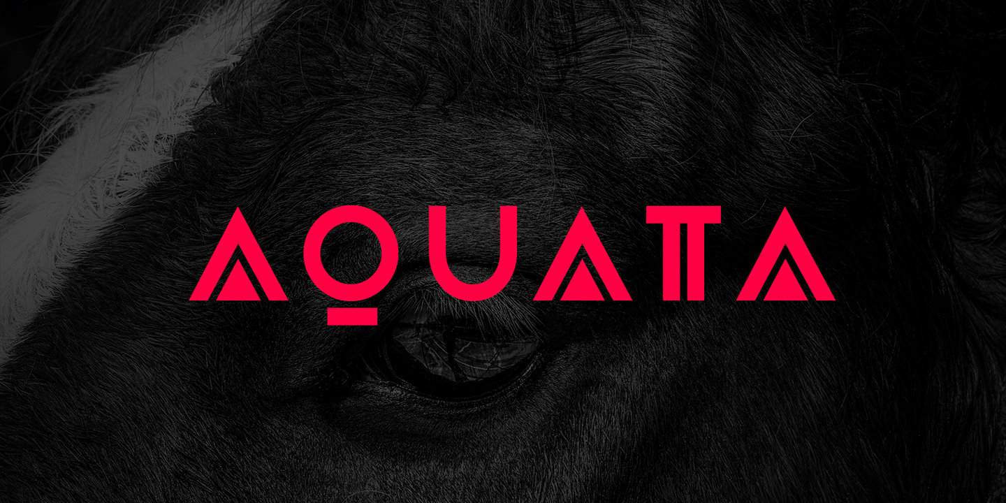 Image of Aquata Display Regular Font