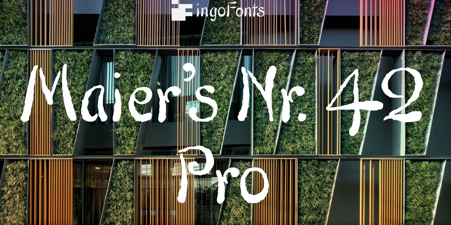 Maiers Nr 42 Pro
