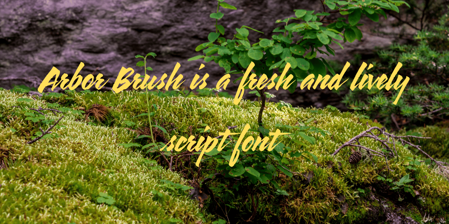 Arbor Brush®