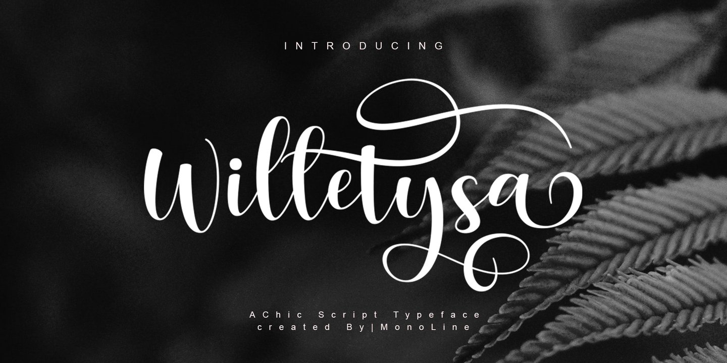 Willetysa Script
