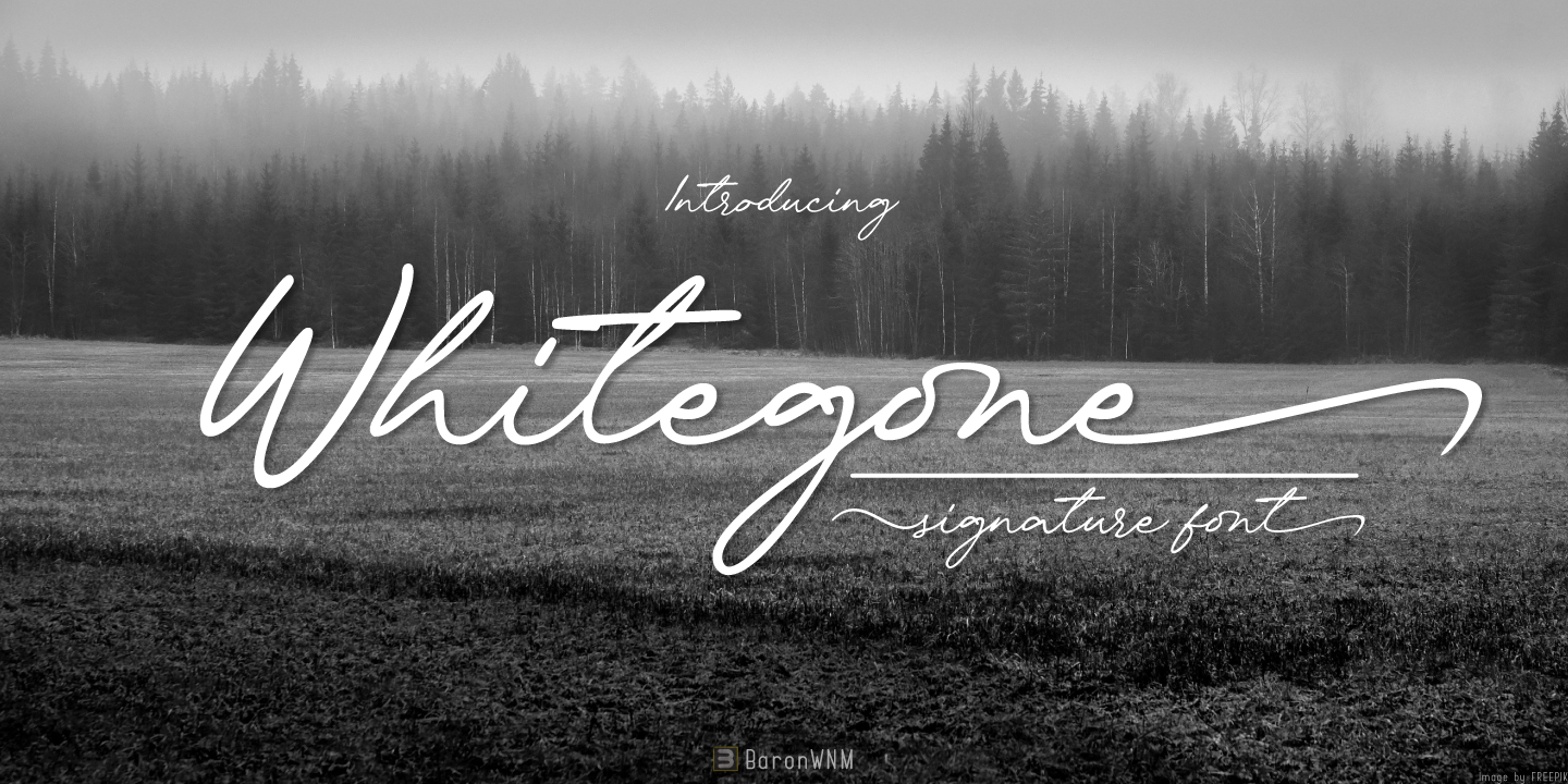 Image of Whitegone Font