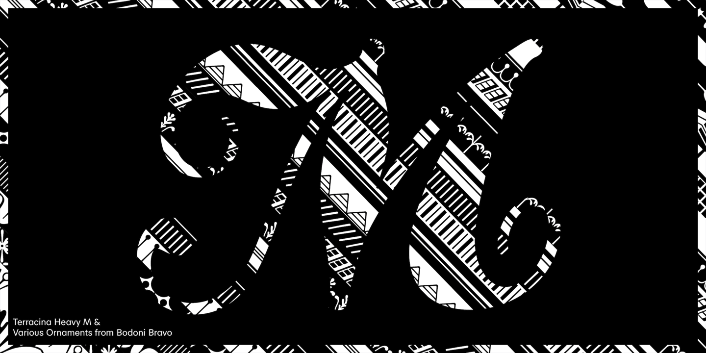 CAL Bodoni Terracina