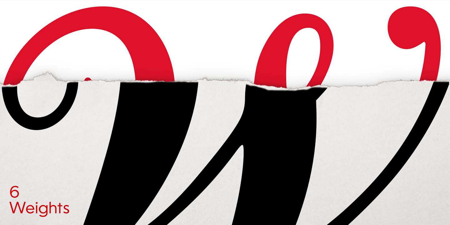 CAL Bodoni Terracina