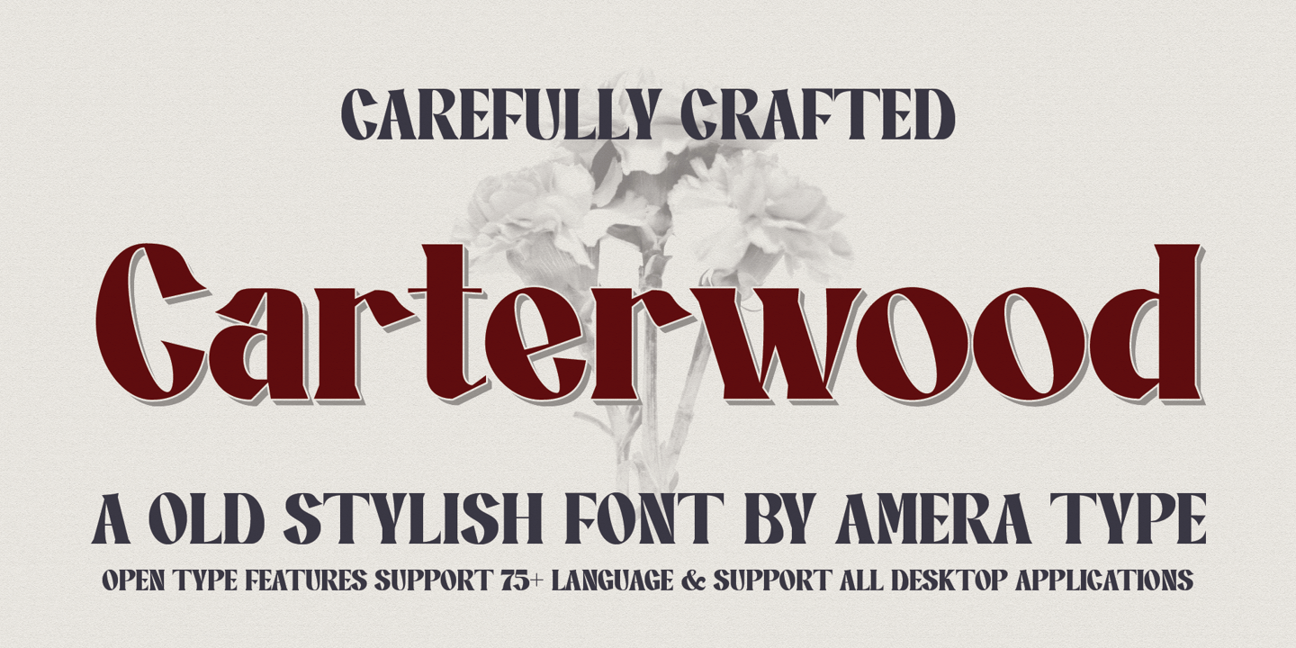 Image of AT Carterwood Font