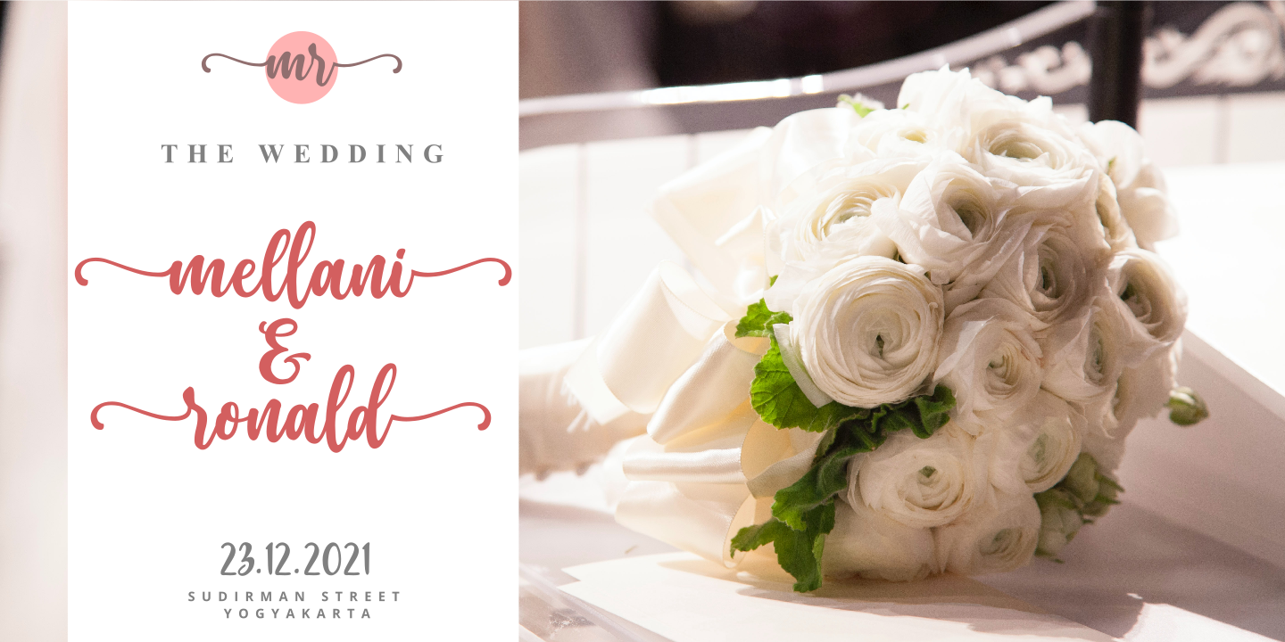 Cherry Blossoms Script