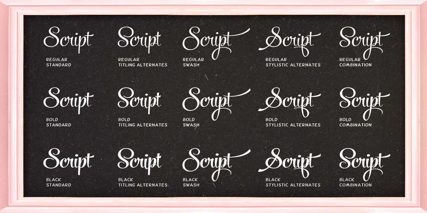 Powder Script