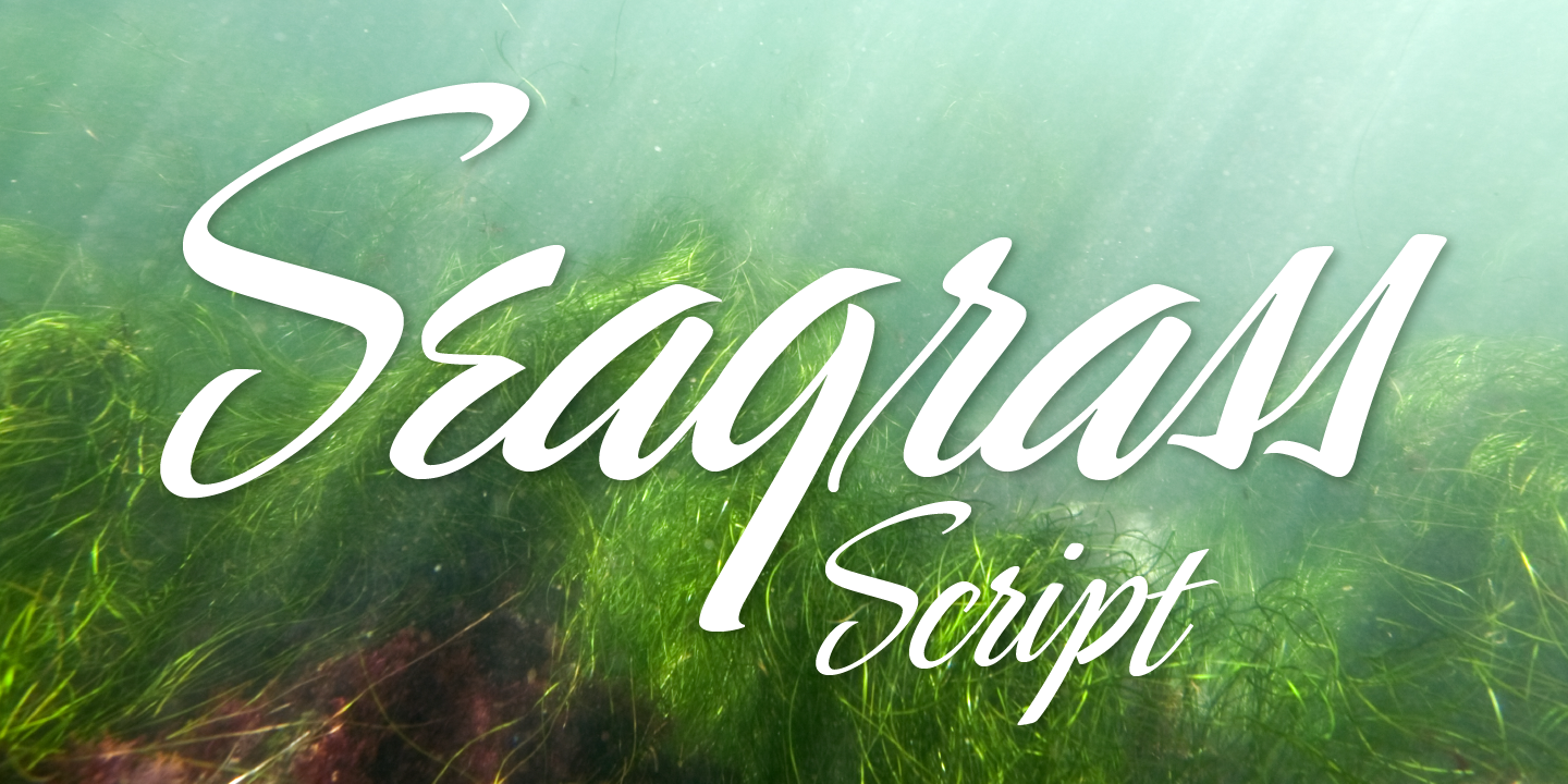 Seagrass BF™