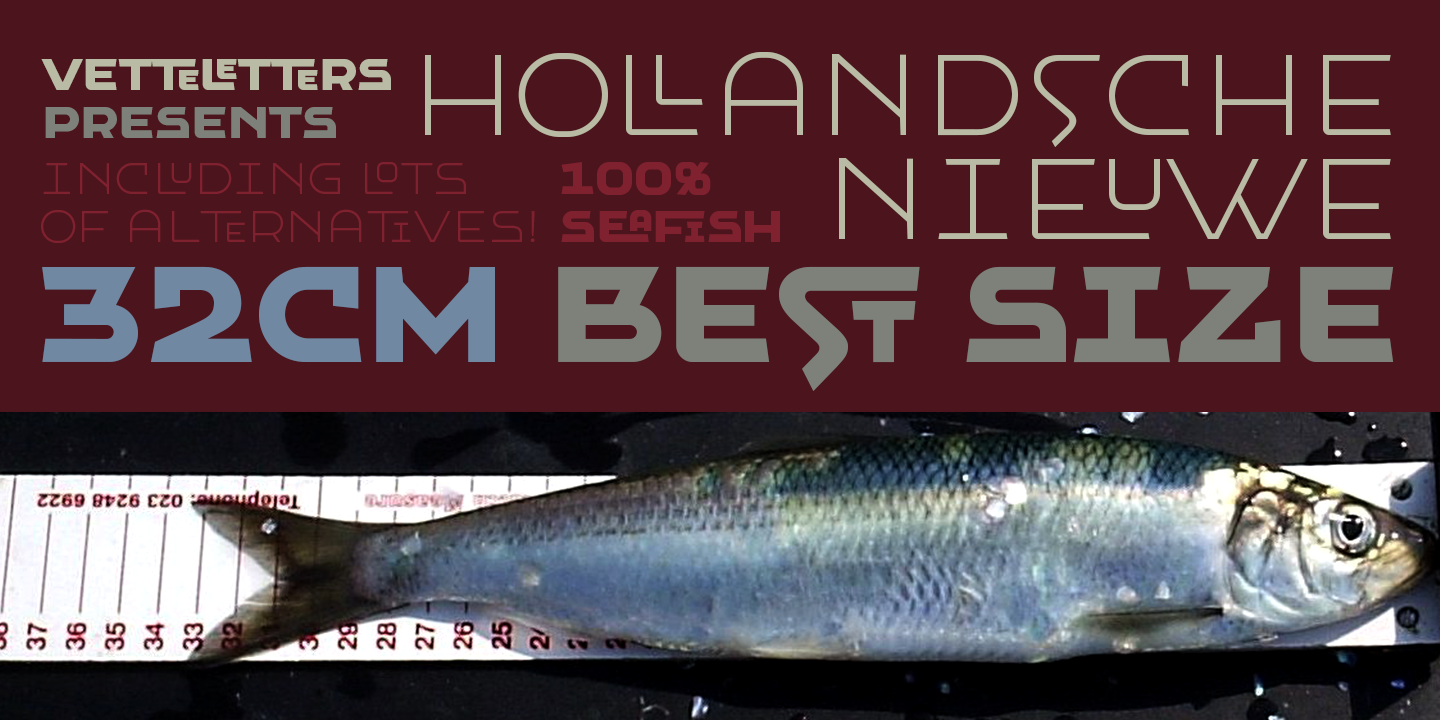 VLNL Hollandsche Nieuwe™