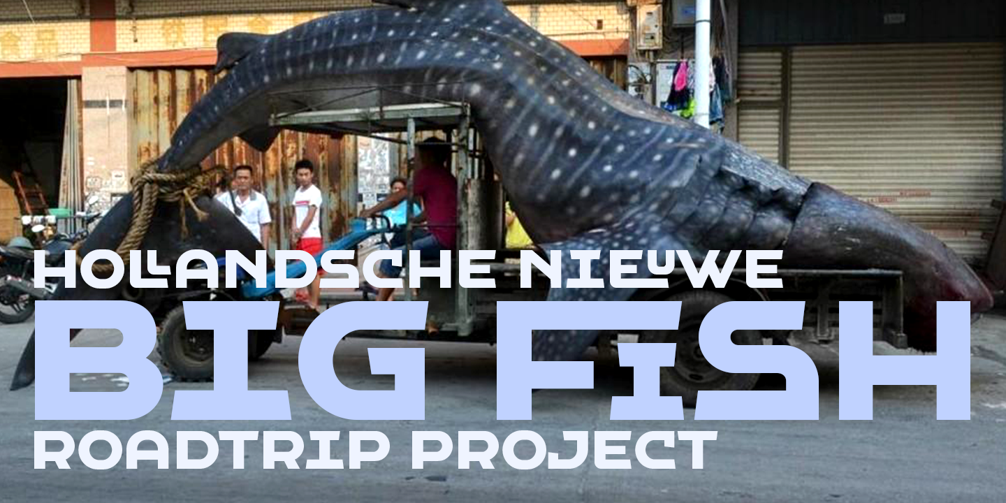 VLNL Hollandsche Nieuwe™