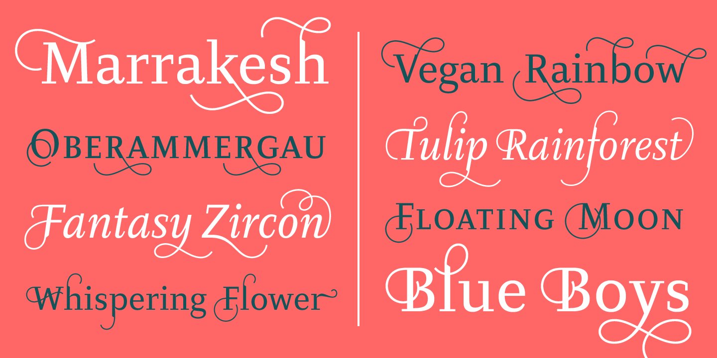 Diogenes Decorative™