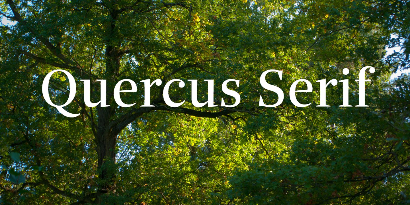 Quercus Serif™