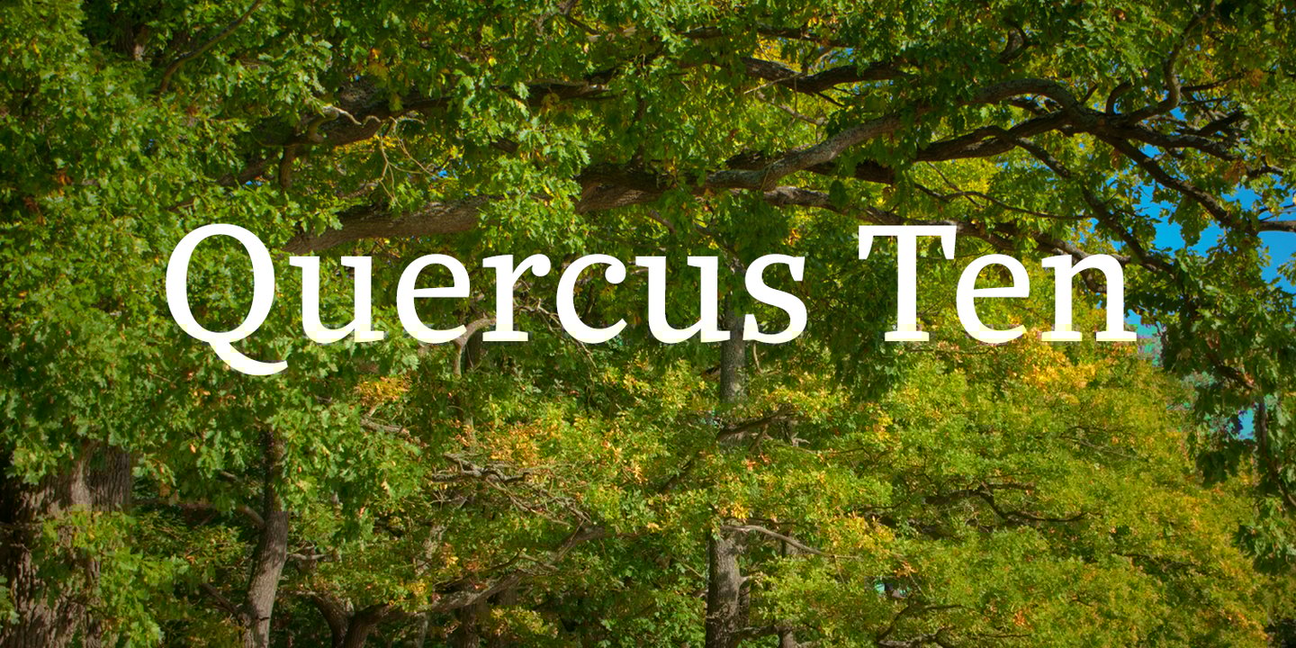 Quercus 10™