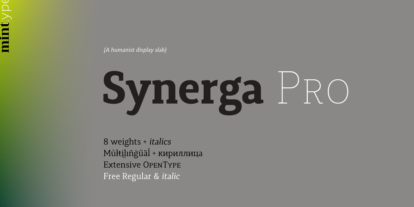 Synerga Pro