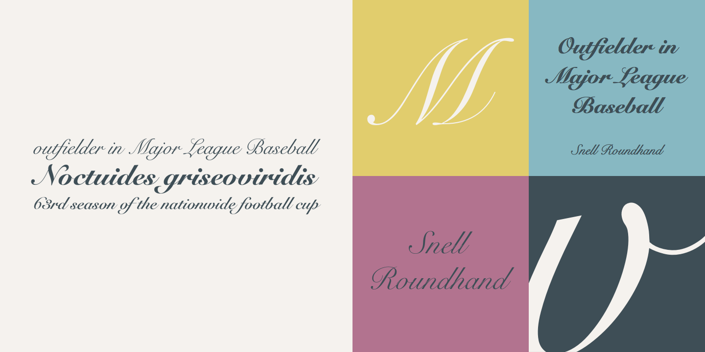 Snell Roundhand®