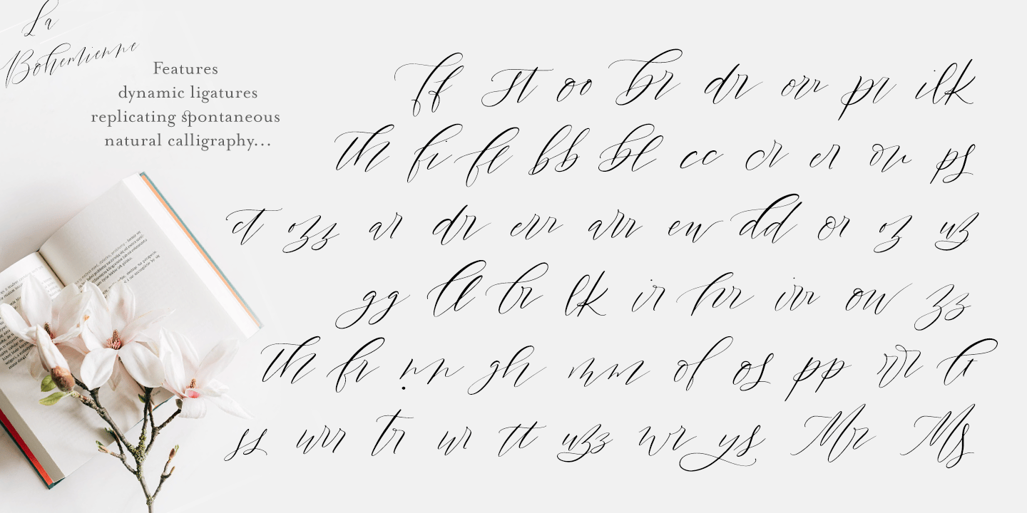 La Bohemienne deLuxe