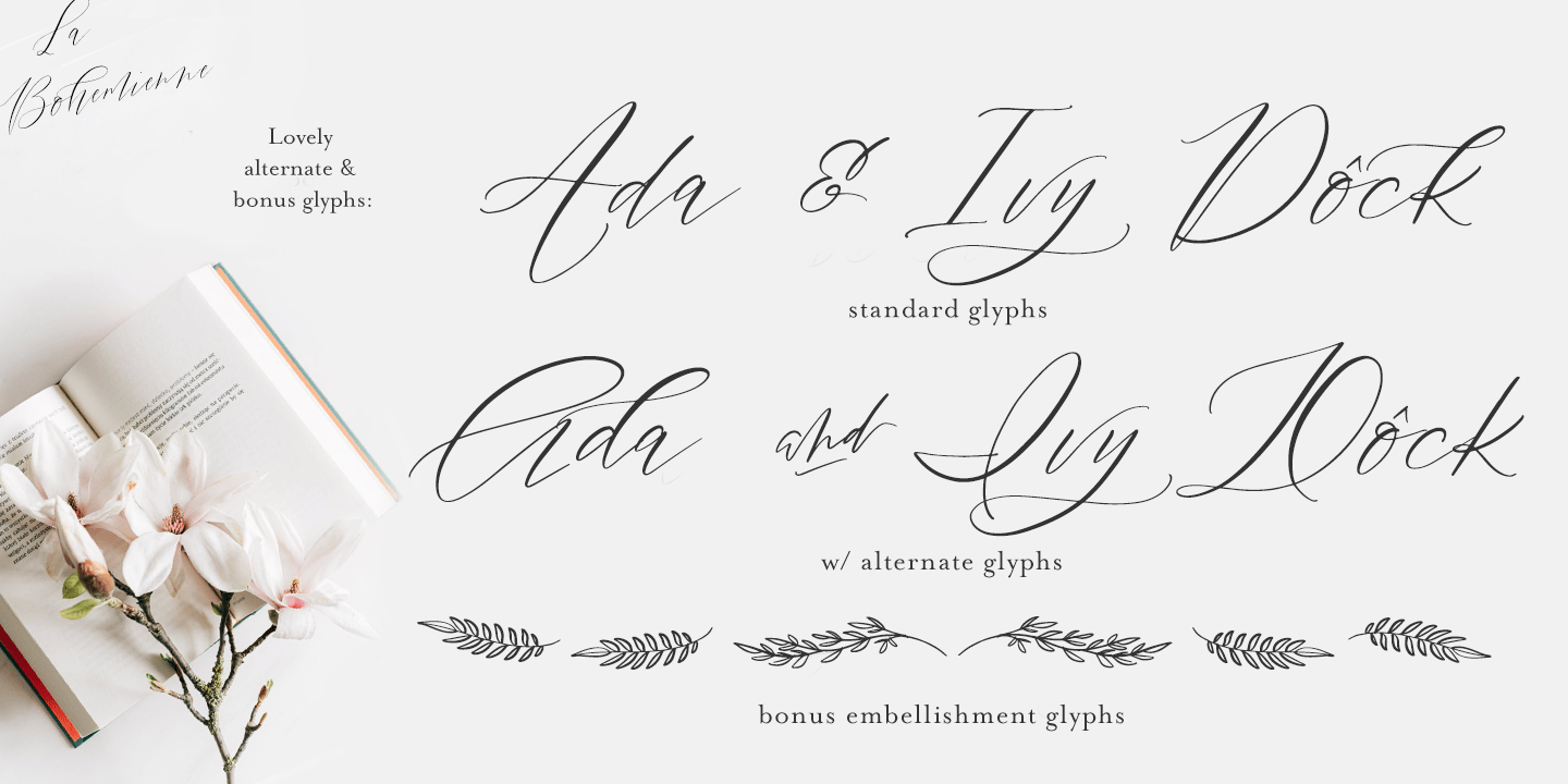 La Bohemienne deLuxe