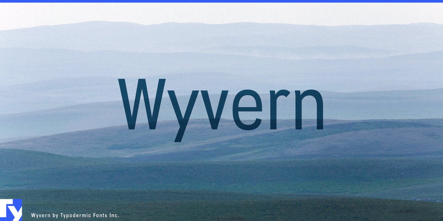 Wyvern™