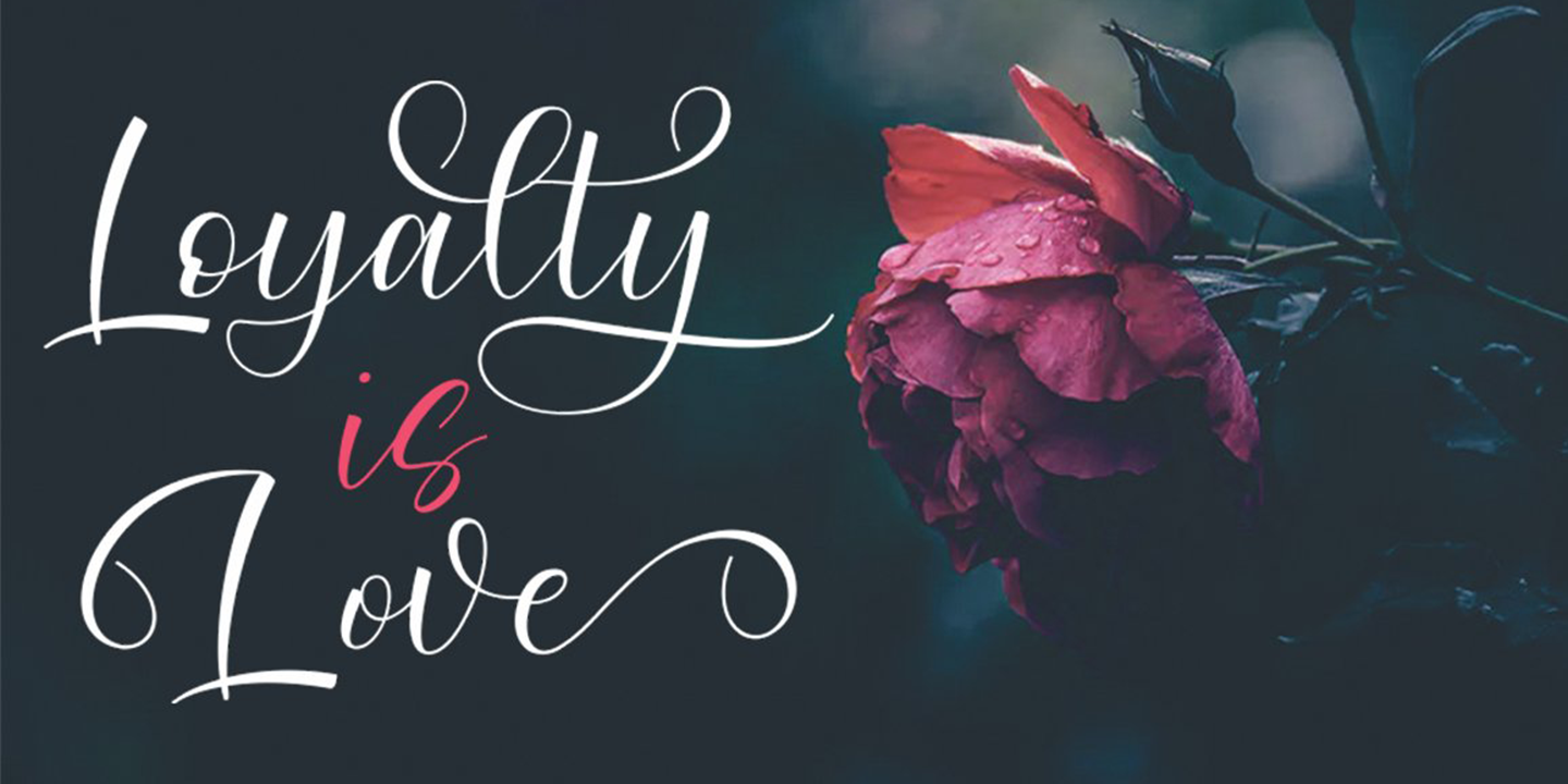 Katie Findlay Script