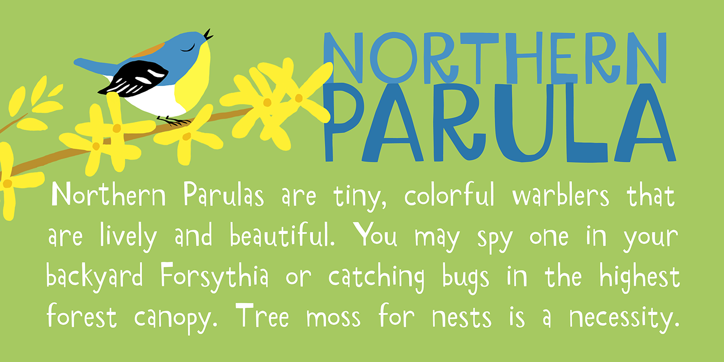 Parula