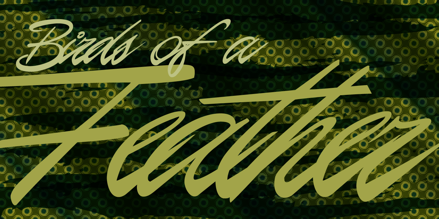 P22 Casual Script™