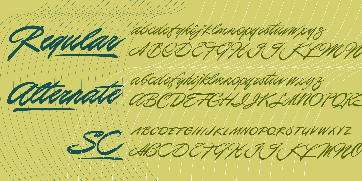 P22 Casual Script™