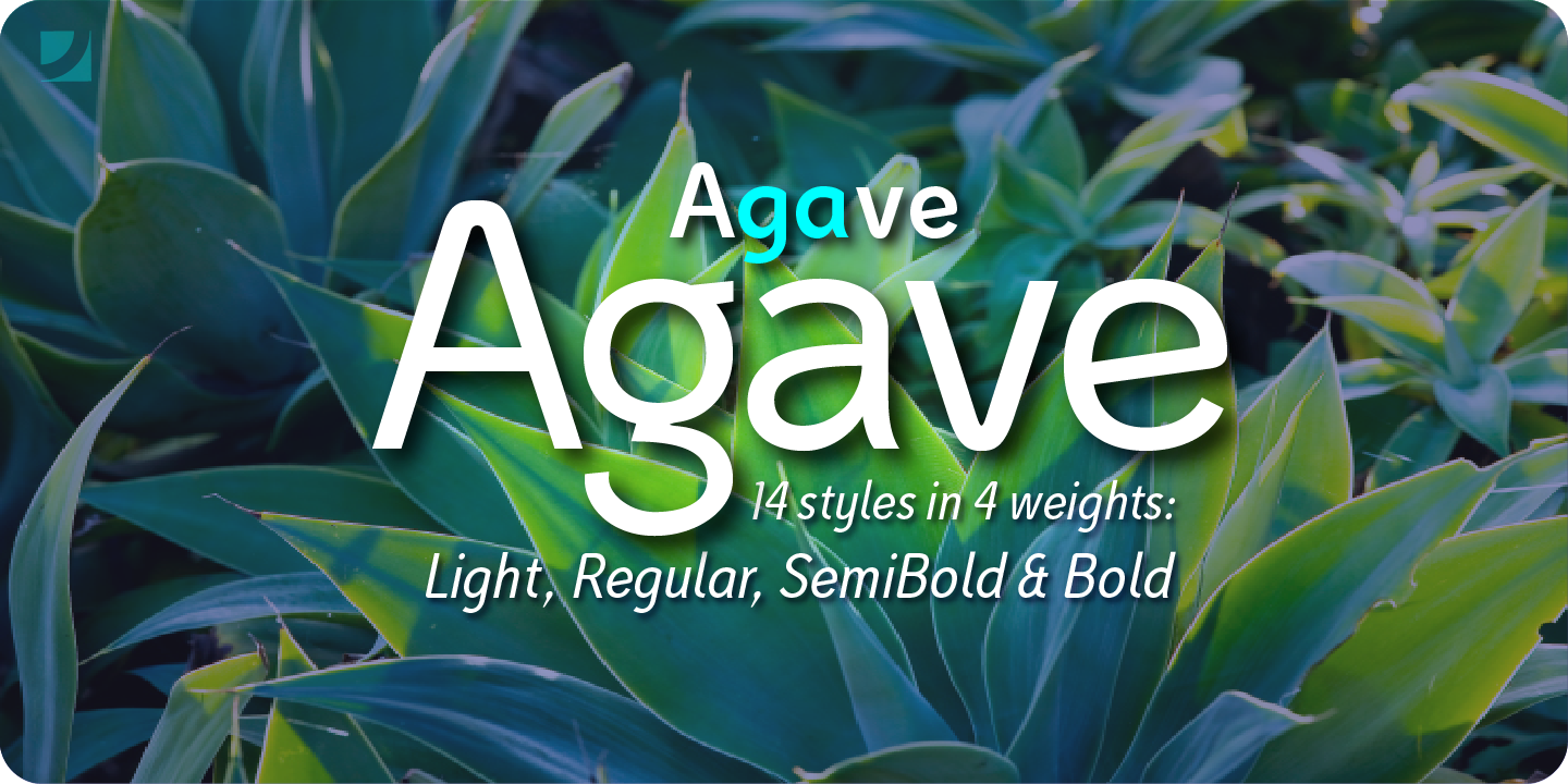 Agave