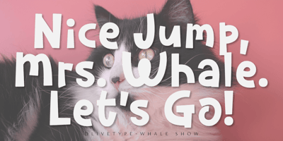 Font visual image of Whale Show