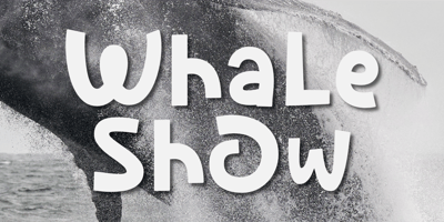 Font visual image of Whale Show