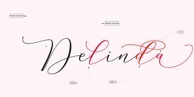 Font visual image of Delinda Script