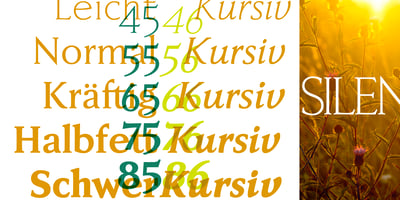 Font visual image of Faber Serif Pro