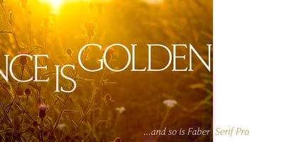 Font visual image of Faber Serif Pro
