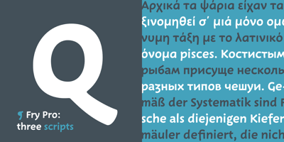 Font visual image of Fry Pro&trade;