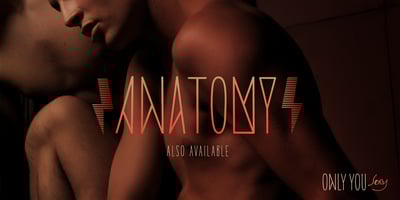 Font visual image of Only You Sexy Icons