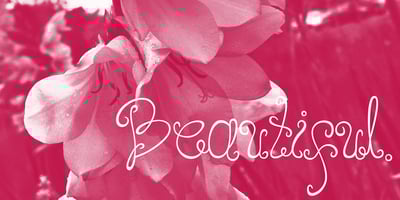 Font visual image of Joy