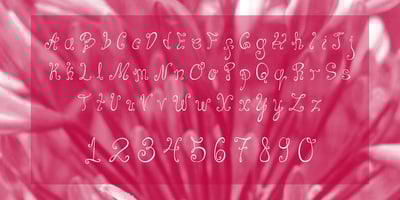Font visual image of Joy