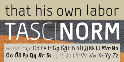 Font visual image of Tascinorm