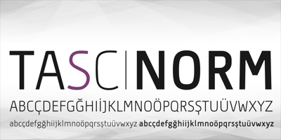 Font visual image of Tascinorm
