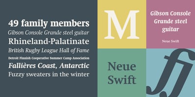Font visual image of Neue Swift&reg
