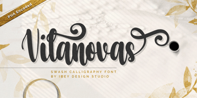 Font visual image of Vilanovas