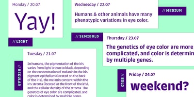 Font visual image of Trench Sans