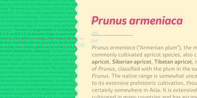 Font visual image of Graviola Soft