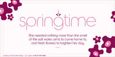 Font visual image of Nordique Pro