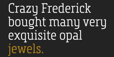 Font visual image of Metronic Slab Narrow